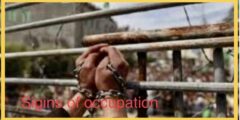 Omar Daraghmeh : Because of the torture ... a Palestinian martyrdom in the Israeli occupation prisons
