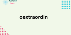 The “oextraordin” website provides an opportunity to profit from the Internet in a reliable and effective way in 2023.