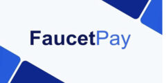 FauceTPay wallet: All you want to know about the wallet and profit from it